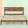 Union Rustic Tara Bed & Reviews | Wayfair